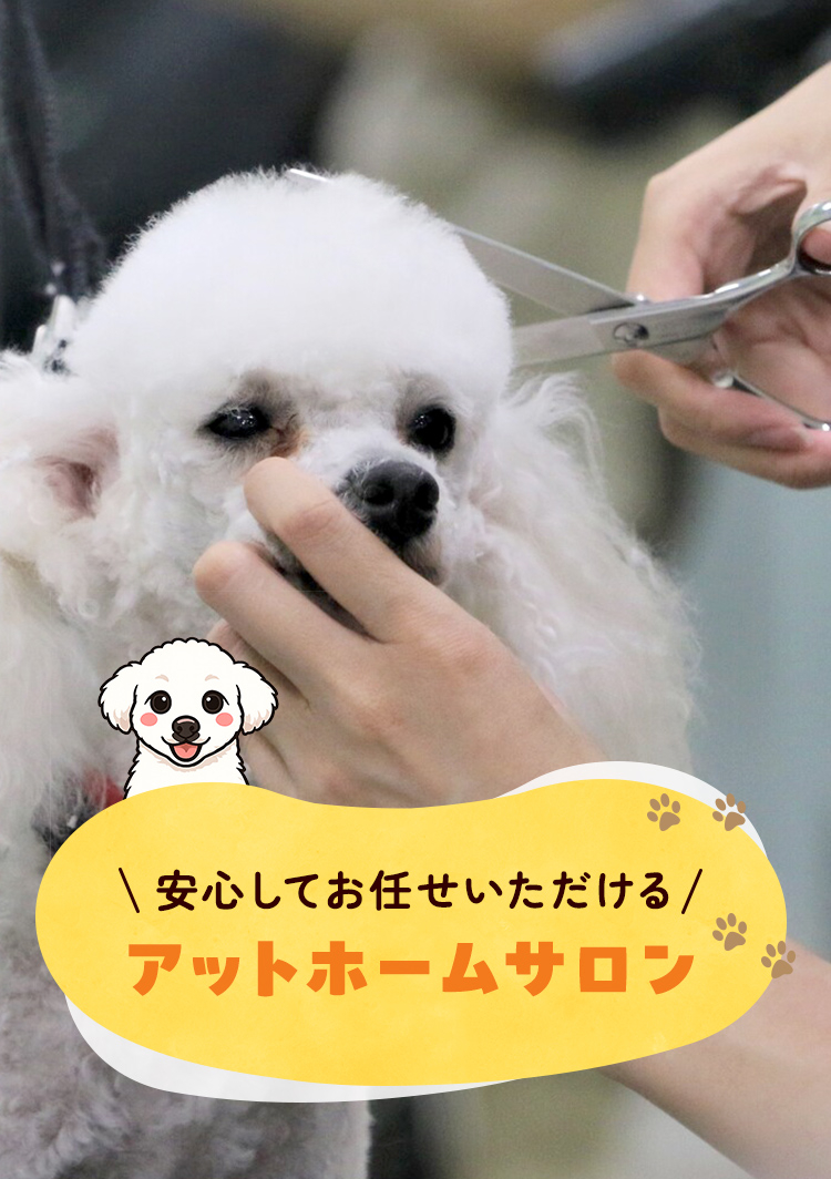 安心してお任せいただけるアットホームサロン
